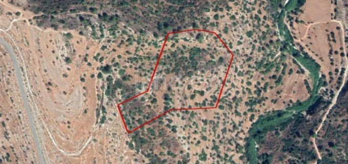 Agricultural field for sale in Limassol
