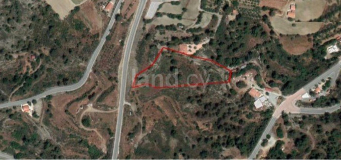 Field for sale in Limassol