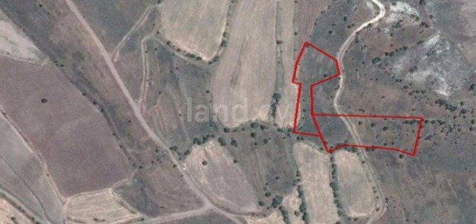 Agricultural field for sale in Paphos