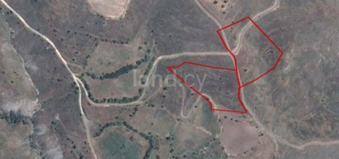 Agricultural field for sale in Paphos