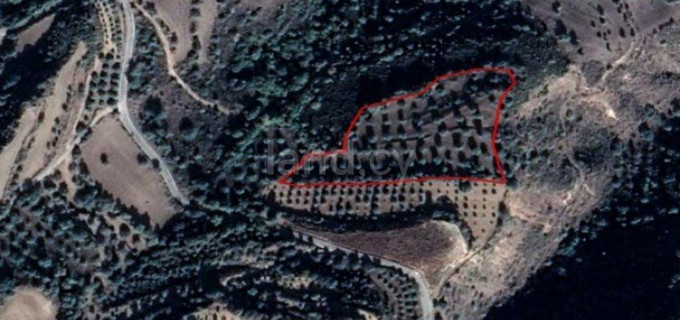 Agricultural field for sale in Paphos