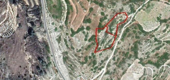 Agricultural field for sale in Paphos