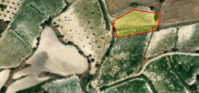 Campo agrícola a la venta en Paphos