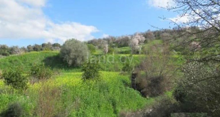 Jordbruksfält till salu i Paphos