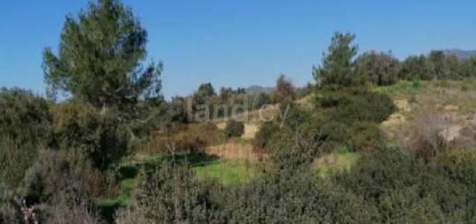 Residential field for sale in Larnaca