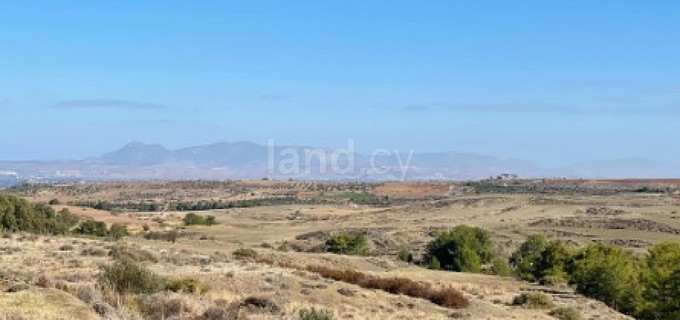 Agricultural field for sale in Nicosia