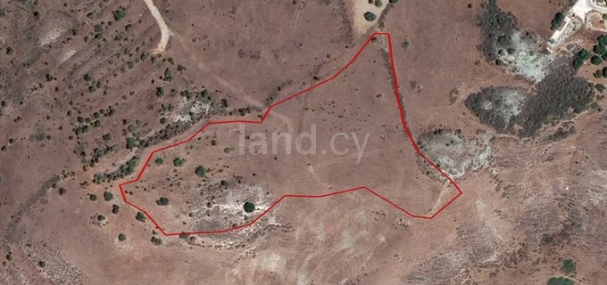 Agricultural field for sale in Paphos