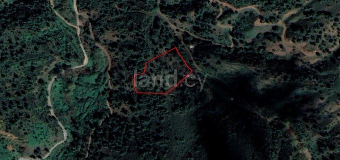 Agricultural field for sale in Nicosia