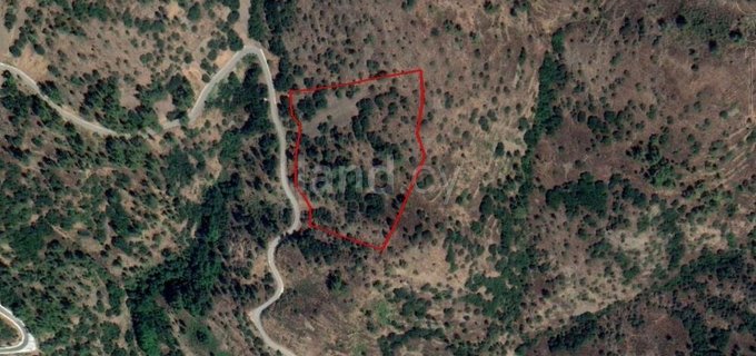 Agricultural field for sale in Nicosia