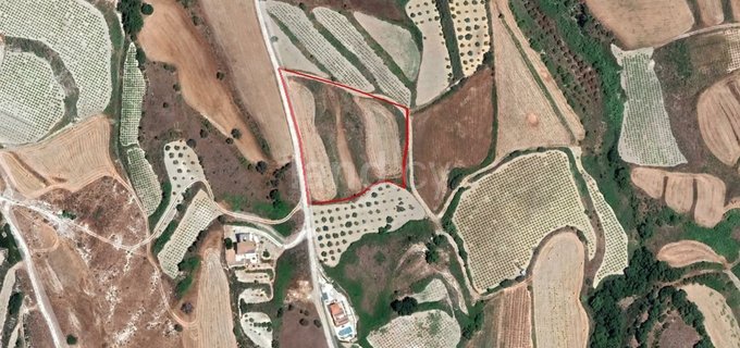 Landwirtschaftliches Baugebiet in Paphos zu verkaufen