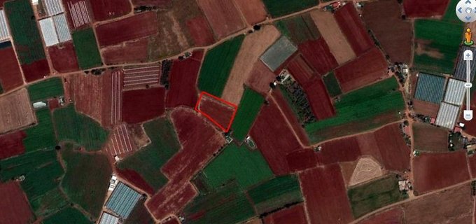 Agricultural field for sale in Sotira