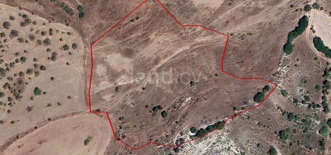 Agricultural field for sale in Paphos