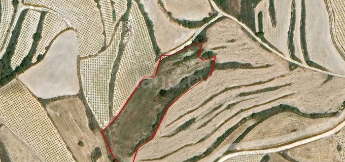 Agricultural field for sale in Paphos