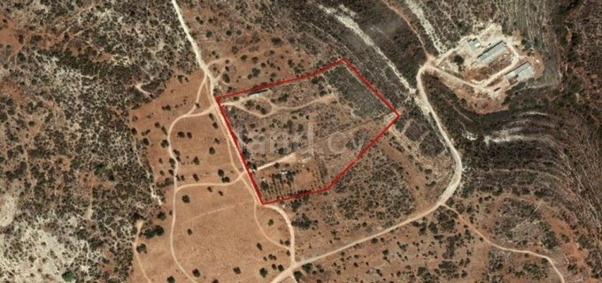 Campo industrial a la venta en Limassol