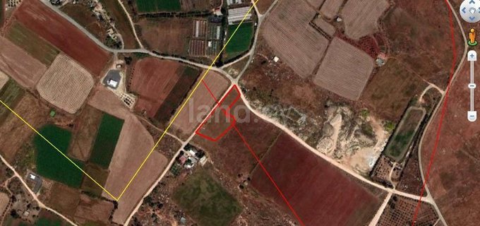 Agricultural field for sale in Frenaros