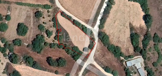 Agricultural field for sale in Paphos