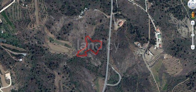 Agricultural field for sale in Nicosia