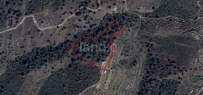 Agricultural field for sale in Nicosia