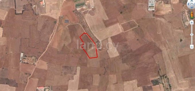 Agricultural field for sale in Nicosia