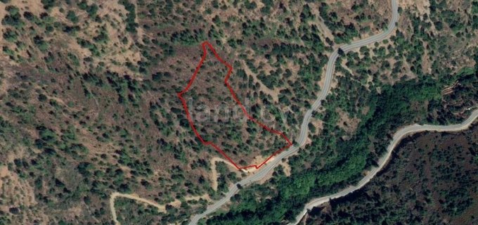 Agricultural field for sale in Nicosia