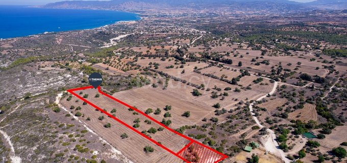 Landwirtschaftliches Baugebiet in Paphos zu verkaufen