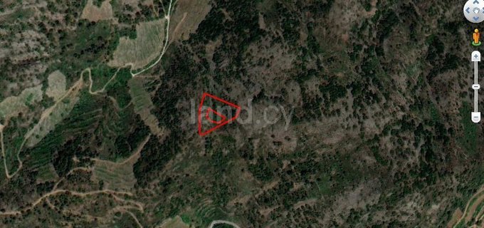 Agricultural field for sale in Nicosia