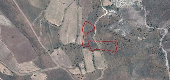 Agricultural field for sale in Paphos