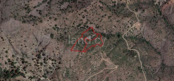 Agricultural field for sale in Nicosia