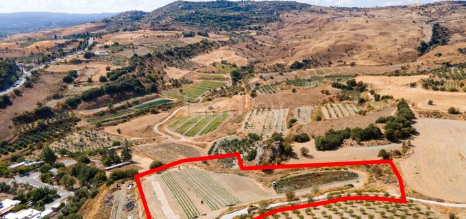 Residential field for sale in Paphos