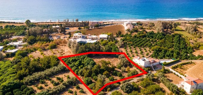 Residential field for sale in Paphos