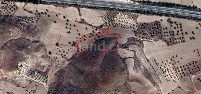 Agricultural field for sale in Nicosia