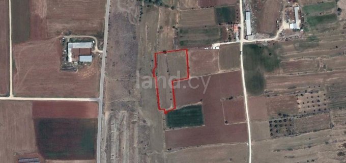 Agricultural field for sale in Nicosia