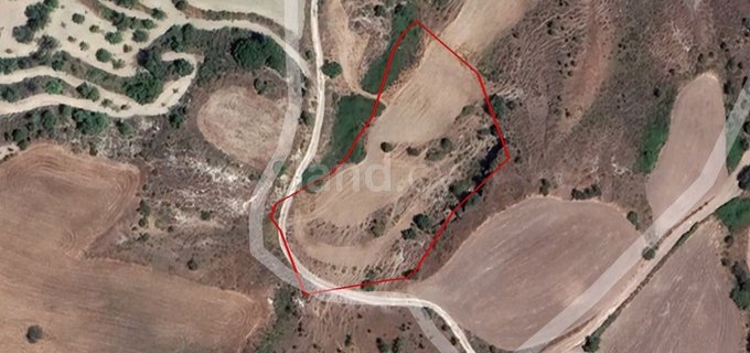 Agricultural field for sale in Paphos