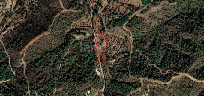 Agricultural plot for sale in Nicosia