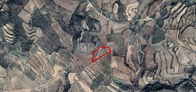 Agricultural field for sale in Paphos