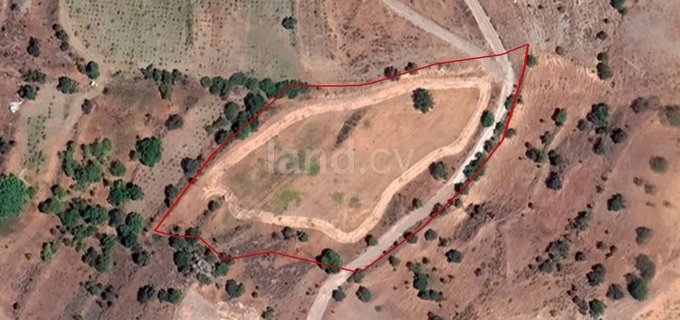 Agricultural field for sale in Paphos