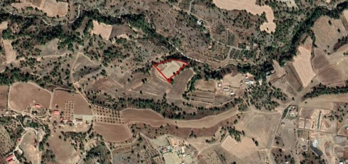 Agricultural field for sale in Nicosia