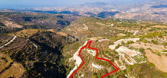 Terrain agricole à vendre à Paphos