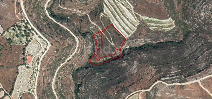 Agricultural field for sale in Limassol