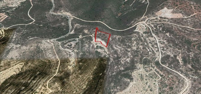 Agricultural field for sale in Limassol