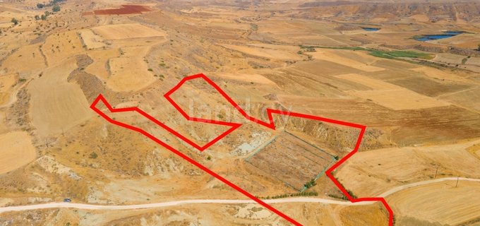 Agricultural field for sale in Nicosia