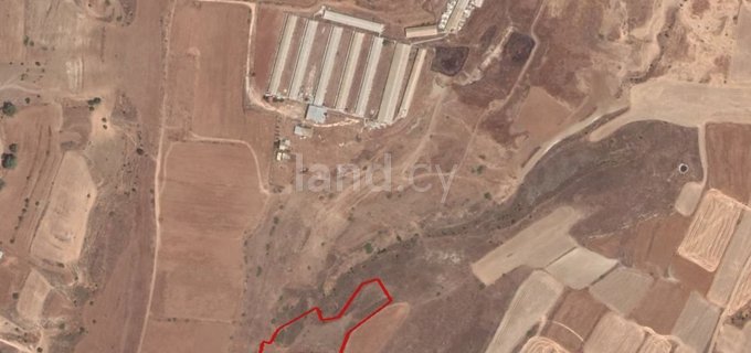 Agricultural field for sale in Nicosia