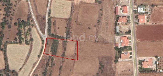 Agricultural field for sale in Nicosia