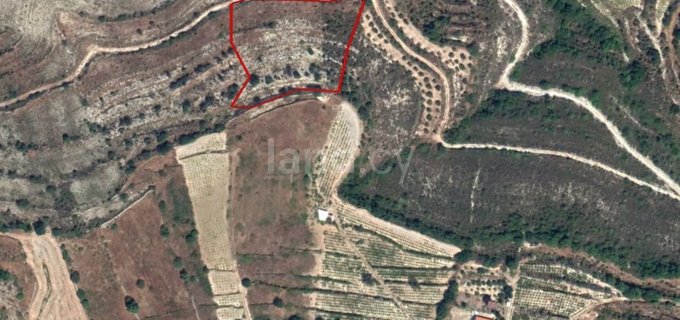 Agricultural field for sale in Limassol