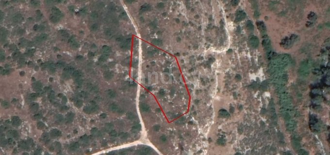 Agricultural field for sale in Limassol