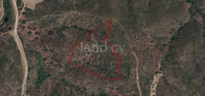 Agricultural field for sale in Limassol