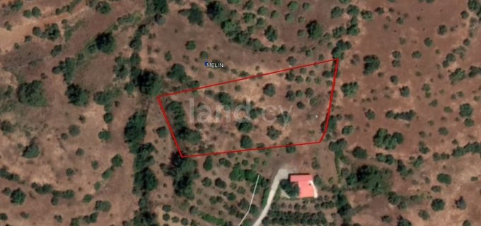 Agricultural field for sale in Larnaca