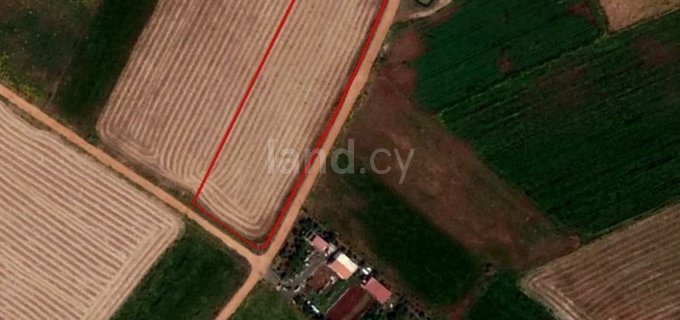 Agricultural field for sale in Larnaca