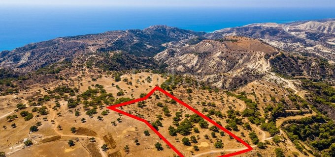 Agricultural field for sale in Limassol