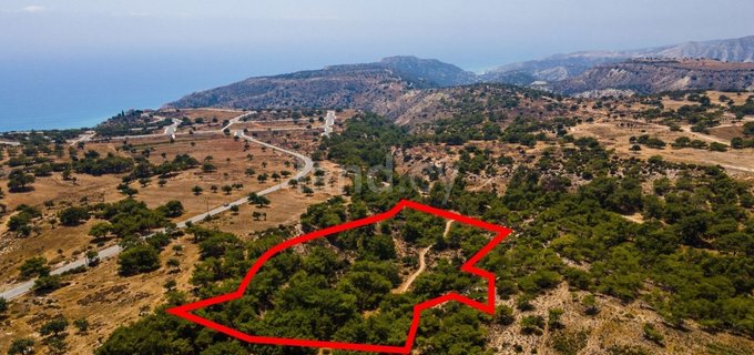 Residential field for sale in Limassol